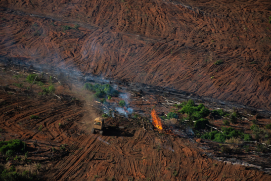 Deforestation in the Amazon, July 2020, with a fire and digger