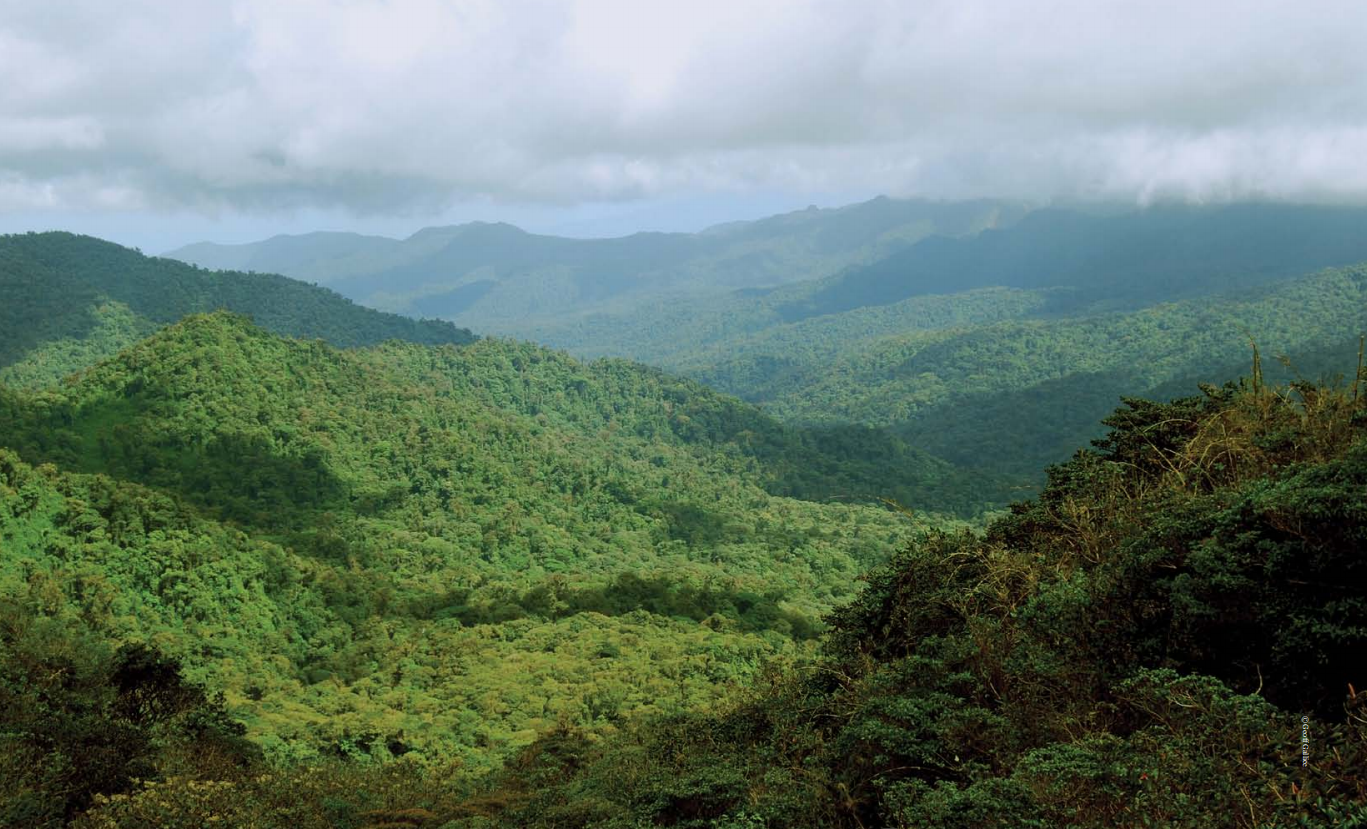 The Little Book of Investing in Nature – Global Canopy