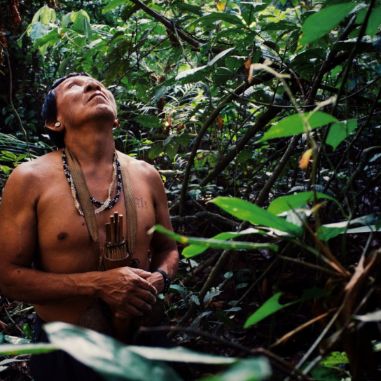 Tribal elder Binan Tukum, Amazonia