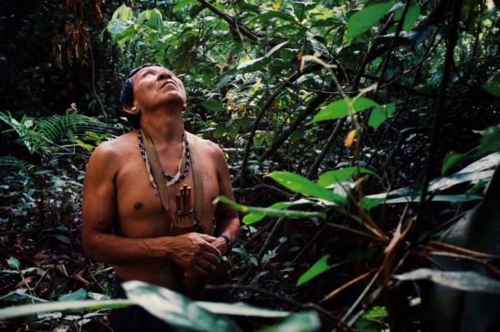 Tribal elder Binan Tukum, Amazonia