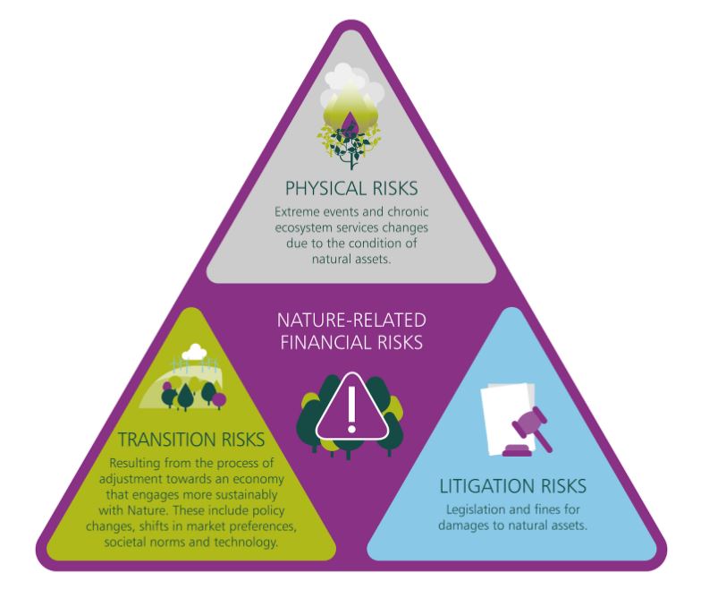 Nature-related financial risks: physical; transition; litigation