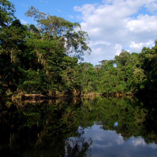 Ecuador photo