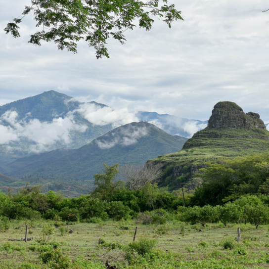 field and hills, Colombia