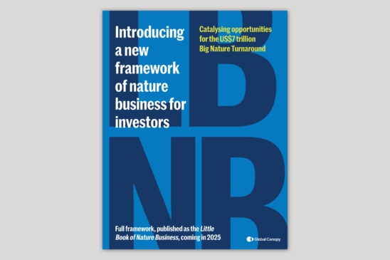 report cover image