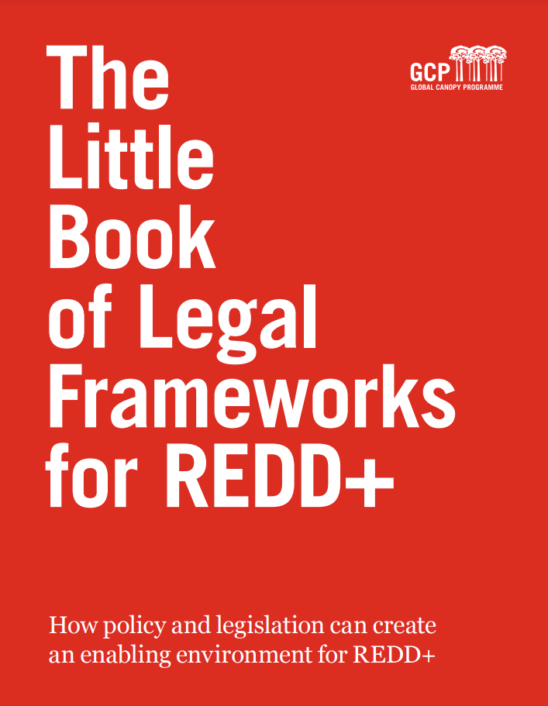 report cover image