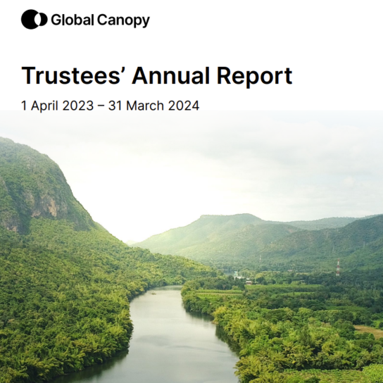 report cover image