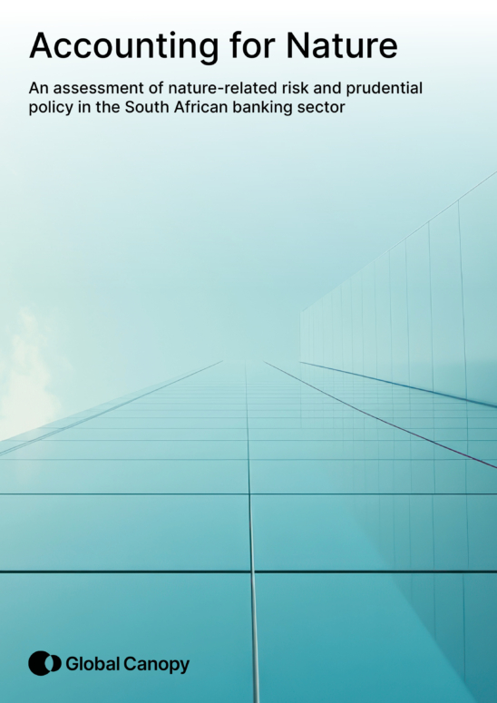 report cover image