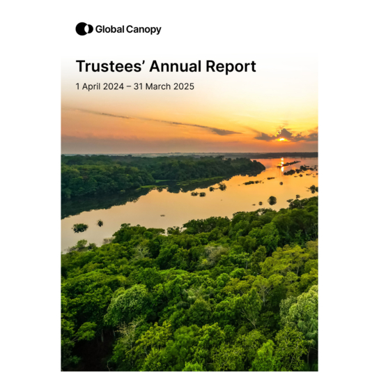 Annual report cover page